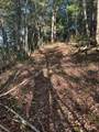 910 Ivy Branch Road - Photo 11