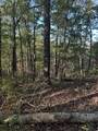 910 Ivy Branch Road - Photo 12