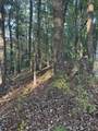 910 Ivy Branch Road - Photo 13
