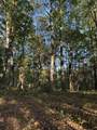 910 Ivy Branch Road - Photo 20