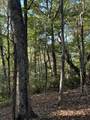 910 Ivy Branch Road - Photo 3