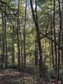 910 Ivy Branch Road - Photo 27
