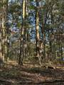 910 Ivy Branch Road - Photo 28