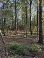 910 Ivy Branch Road - Photo 30