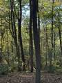 910 Ivy Branch Road - Photo 4