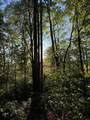 910 Ivy Branch Road - Photo 36