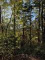 910 Ivy Branch Road - Photo 37