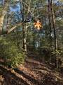 910 Ivy Branch Road - Photo 38