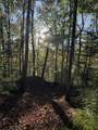 910 Ivy Branch Road - Photo 39
