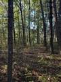 910 Ivy Branch Road - Photo 5