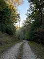 910 Ivy Branch Road - Photo 41
