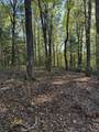 910 Ivy Branch Road - Photo 7