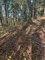 910 Ivy Branch Road - Photo 10