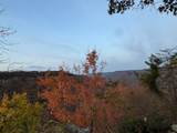 0 Panther Falls Rd - Photo 19