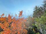 0 Panther Falls Rd - Photo 22