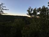 0 Panther Falls Rd - Photo 4