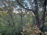 0 Panther Falls Rd - Photo 7