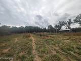 370 Perkins Trl - Photo 4