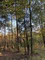 0 Firetower Rd - Photo 38