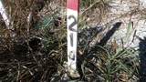 21 D Crappie Lane - Photo 2