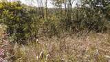 21 D Crappie Lane - Photo 15