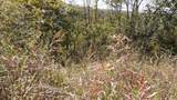 21 D Crappie Lane - Photo 17