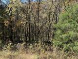 0 Reece Hollow Rd - Photo 3