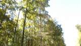 0 Inland Court - Photo 27