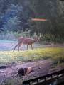 0 Howell Rd - Photo 10