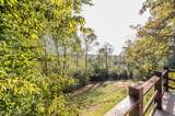 1020 Canyon Run Rd - Photo 28