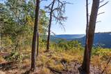 0 Raulston Falls Road - Photo 1
