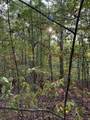 141 Camp Creek Circle - Photo 11