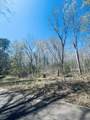 0 Iron Horse Trail - Photo 4