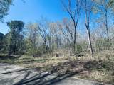 0 Iron Horse Trail - Photo 6