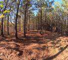 3020 Mcgee Rd - Photo 11