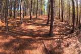3020 Mcgee Rd - Photo 4