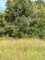 0 Old Powerline Road - Photo 5