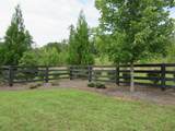 300 Caney View Crive - Photo 7