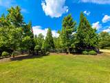 300 Caney View Crive - Photo 8