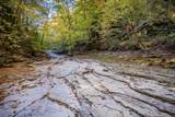 1050 Pine Creek Falls Rd - Photo 11