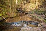 1050 Pine Creek Falls Rd - Photo 12