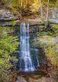 1050 Pine Creek Falls Rd - Photo 9