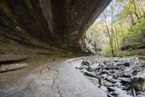 1050 Pine Creek Falls Rd - Photo 85