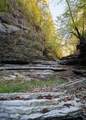 1050 Pine Creek Falls Rd - Photo 86
