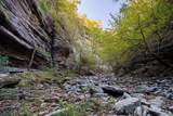 1050 Pine Creek Falls Rd - Photo 91