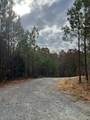1727 Green Creek Rd - Photo 12