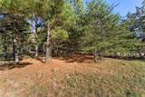 145 Eagle Eye Drive - Photo 10