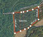 3060 Riley Hollow Road - Photo 1