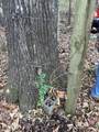 427 The Trace - Photo 5