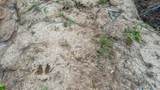 0 Sipes Way - Photo 15